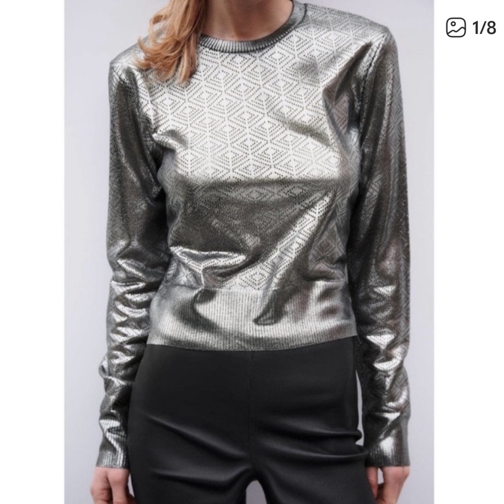 Zara Metallic Long Sleeve Pointelle Top